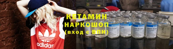 гашик Алексин