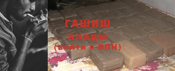 гашик Алексин