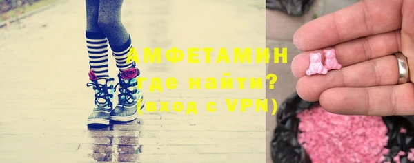 гашик Алексин