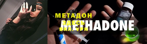 гашик Алексин