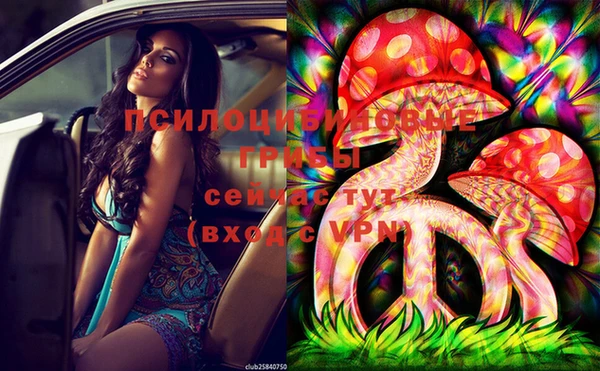 apvp Абинск