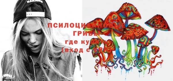 круглые Алзамай