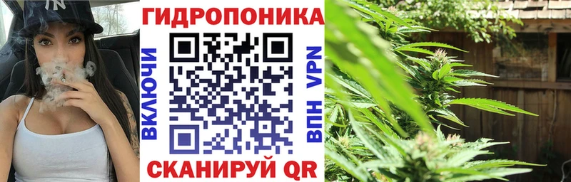 Бошки марихуана Amnesia Ессентукская